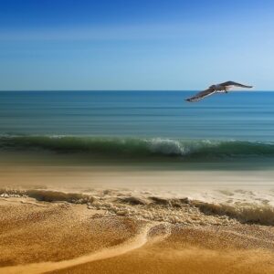 18oz Heavy Duty Banners